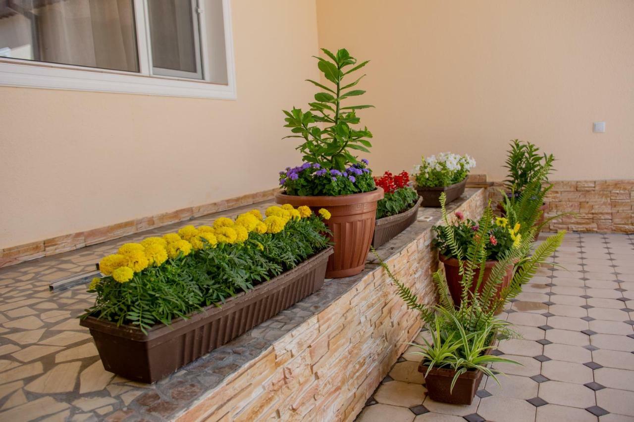 Hostel Bukhara Gold Tashkent Bagian luar foto